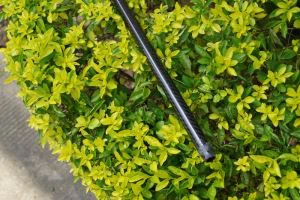 Hohe Festigkeit 10 * 8mm Epoxy Kohlefaser Rohr/Rohr