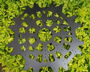 Hohe Festigkeit 3k Carbon Fiber Blätter mit CNC-Schneiden